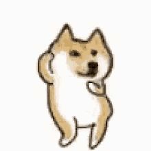 Doge Gif, Doge Dog, Funny Animal Images, Dog Tumblr, Doge Meme, Funny Stickman, Dog Animation, Dog Movies, Dog Skeleton