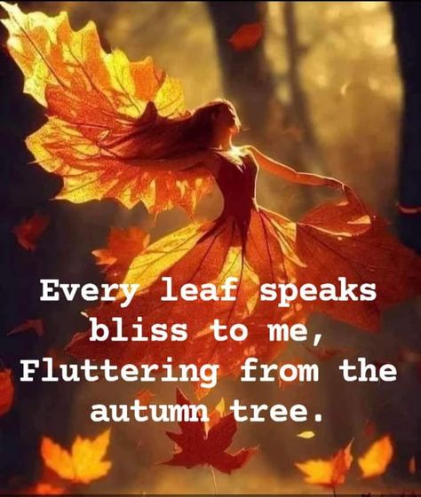 First Day Of Fall Quotes, Fall Time Quotes, Fall Quotes Autumn, New Month Quotes, Month Quotes, Card Quotes, Life Vibes, Fall Quotes, First Day Of Fall