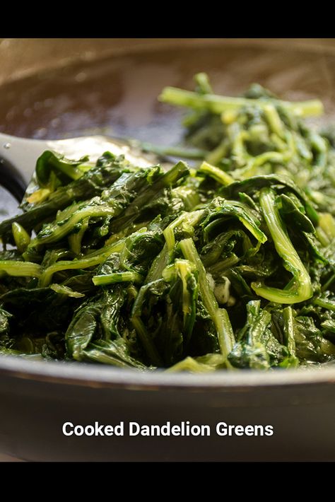 Lunch Prep Meals, Dandelion Greens Recipe, Dandelion Greens Recipes, Greens Recipes, Dandelion Greens, Swiss Chard Recipes, Garlic And Olive Oil, Colorful Plant, Chard Recipes