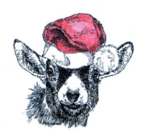 Pygmy goat with a Christmas hat drawing! Christmas Goat Painting, Christmas Goat Drawing, Christmas Hat Drawing, Goat Drawings, Christmas Tea Bags, Goat Pictures, Christmas Gourds, Miniature Goats, Goat Picture