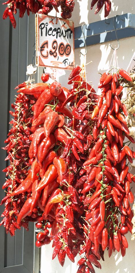 #Calabria is a #foodie destination. Would you like to discover this Italian… Spice Market Aesthetic, Calabrian Food, Calabrian Chili, Spice Tea, Chile Pepper, Hottest Chili Pepper, Travel Gadgets, Herbal Infusion, Chilli Pepper