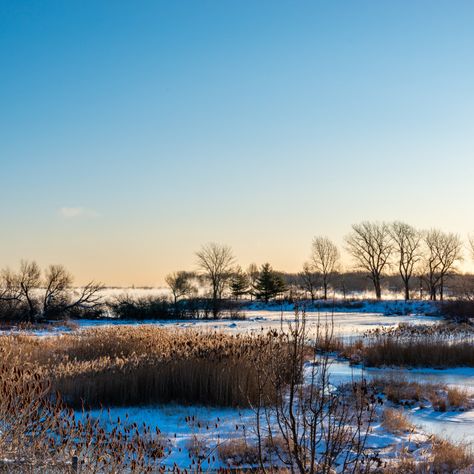 St-Lawrence river in the winter,  Lachine rapids   by Petras Paulauskas Saint Lawrence River, St Lawrence River, Travel Tree, Rural Scenes, St Lawrence, Water Reflections, Website Backgrounds, Print Advertising, Quality Pictures