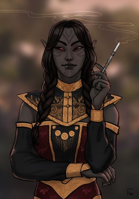 Eso Dark Elf, Hobo Symbols, Skyrim Art, Elder Scrolls Art, Character Prompts, Pathfinder Character, Haida Art, Caracter Design, The Elder Scrolls