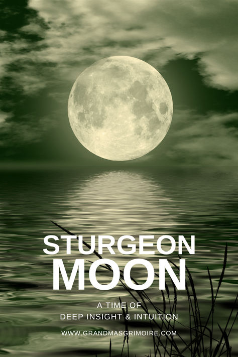 The Sturgeon Moon: A Time of Deep Insight and Intuition Moon Aquarius, Sturgeon Moon, Moon In Aquarius, Moon In Leo, Magic Moon, Moon Symbols, Bodies Of Water, Month Of August, Moon Calendar