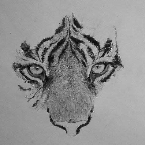 Tiger Pen Drawing, Black And White Tiger Drawing, Pencil Animal Sketches, White Tiger Drawing Sketches, Tiger Charcoal Drawing, Black And White Animal Painting, Animal Portraits Art Drawings, Asthetic Drawings Pencil, Tiger Drawing Pencil