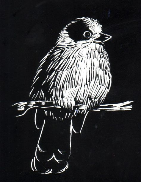 Scratchboard Art Ideas, Art Ideas Black And White, Scratchboard Art Lessons, Scratch Art Ideas, Scratchboard Animals, Scratchboard Drawings, Scratch Paper Art, Woodcut Art, Scratchboard Art