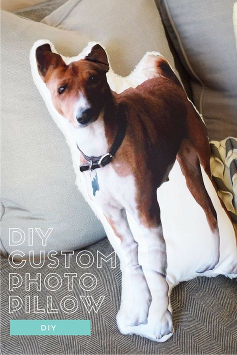 Diy Pet Pillow, Dog Pillows Decorative, Sublimation Pillow Ideas, Animal Pillows Diy, Dog Fundraiser, Cat Bags, Custom Dog Pillow, Pet Crafts, Dog Pillows