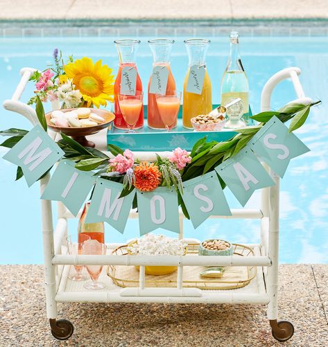 Summer Party Ideas For Adults, Party Themes For Adults, Party Ideas For Adults, Summer Party Ideas, Pool Party Food, Pool Party Themes, Champagne Drinks, Adult Party Themes, Summer Party Themes