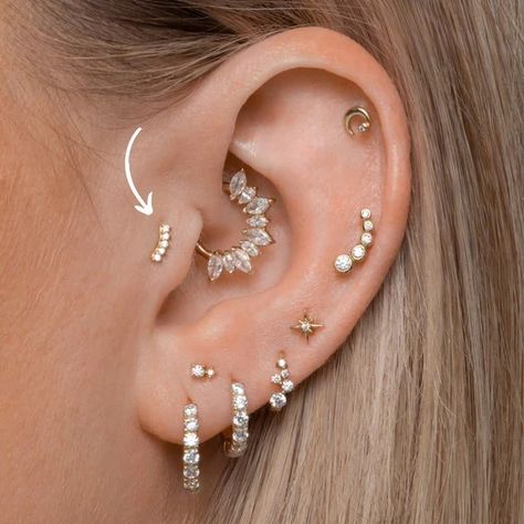 Bijoux Piercing Septum, Ear Peircings, Cool Ear Piercings, Pretty Ear Piercings, Gold Body Jewellery, Cartilage Jewelry, Cute Ear Piercings, Ear Style, Cute Piercings