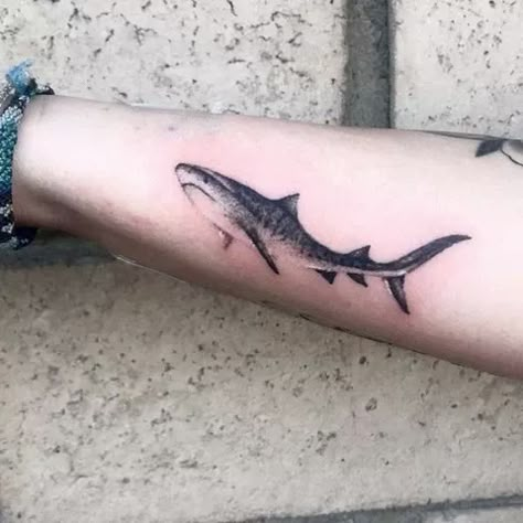 Blacktip Shark Tattoo, Feminine Shark Tattoo For Women, Black Tip Reef Shark Tattoo, Reef Shark Tattoo, Tiger Shark Tattoo, Marine Tattoos, Sea Life Tattoos, Neat Tattoos, Marine Tattoo