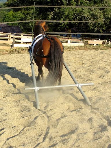 Travois with pvc pipes & duct tape Miniature Horse Driving, Mini Horse Cart, Driving Training, Miniature Horse Tack, Horse Driving, Driving Horses, Mini Donkeys, Horse Wagon, Horse Cart