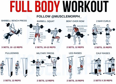 Total Body Workout Plan, Full Body Weight Workout, Full Body Workout Plan, Workout Gym Routine, Gym Workout Guide, Workout Program Gym, Best Gym Workout, Gym Workout Planner, Full Body Workout Routine