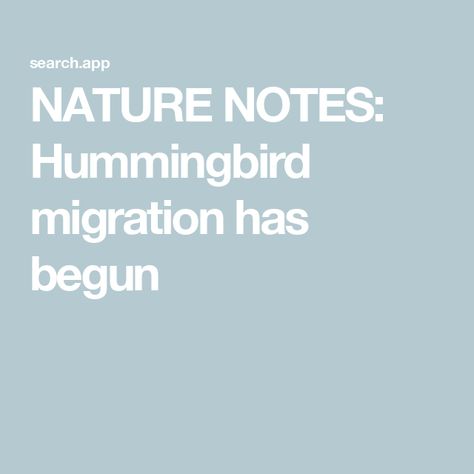 NATURE NOTES: Hummingbird migration has begun Hummingbird Migration, City Magazine, Save Nature, Ruby Throated Hummingbird, Mostly Sunny, Body Proportions, Food Source, Gulf Coast, Hummingbirds