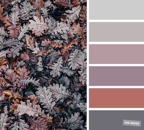 From Top : #cccdcc | #bdb6b6 | #b599a0 | #9d8490 |  #b56e67 |  #6f6e75 Grey and mauve fall color scheme , Grey Autumn leave color inspired – Find beautiful and inspiring color palettes , grey color combination for your home decor or wedding color theme,winter color combinations,idea color for be... Pantone Fall, Fall Color Schemes, Autumn Leaf Color, Color Catalog, Color Schemes Colour Palettes, Fall Color Palette, Color Inspo, Colour Schemes, Color Pallets