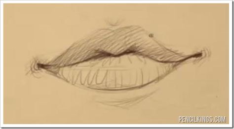 draw-a-mouth-female-mouth Draw A Mouth, How To Draw Lips, Drawing Basics, Draw Lips, Drawing Male, Female Lips, Easy Drawing Steps, Mouth Drawing, Art Journal Cover