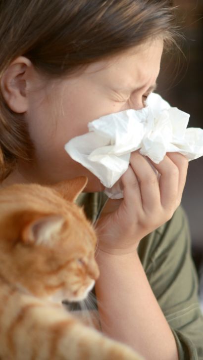 How to Reduce Cat Allergies: Living with Cat Allergies and Natural Remedies to Alleviate Symptoms Cat Allergy Remedies, Allergy Shots, Hypoallergenic Cats, Allergic To Cats, Living With Cats, Cat Allergies, Asthma Symptoms, Cat Dander, Itchy Eyes