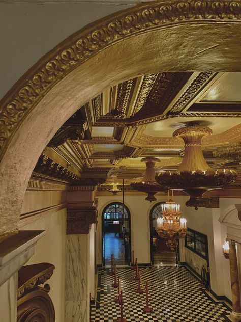 Chicago Athletic Association Hotel and bar. Chicago traditional architecthre, columns, and ceiling details. Chicago Athletic Association Hotel, Chicago Athletic Association, Ceiling Details, Stadium Architecture, Chicago Hotels, Ceiling Detail, Chicago Architecture, Paris Cafe, Classical Architecture