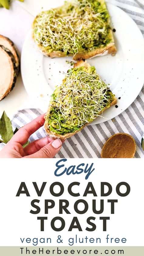 Avocado Toast With Sprouts, Gluten Free Avocado Toast, Avocado Toast Recipe Vegan, Vegan Avocado Toast, Christian Fasting, Crunchy Breakfast, Nutritional Meals, Homemade Breakfast Recipes, Toast Recipe Breakfast