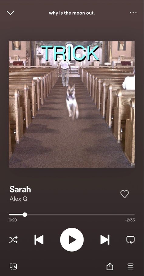 Advice Alex G, Sarah Alex G, Alex G Poster, Beach Music, Catch Feelings, I Forgive You, Song Suggestions, Alex G, Good Listener