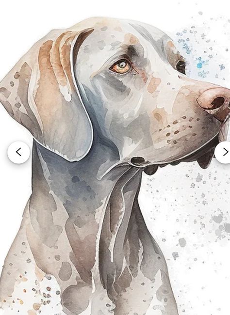 Weimaraner Watercolor, Weimaraner Painting, Watercolour Dogs, Colored Pencil Artwork Ideas, Watercolour Journal, Dogs Drawing, Watercolor Dogs, Dog Portraits Painting, Watercolor Dog Portrait