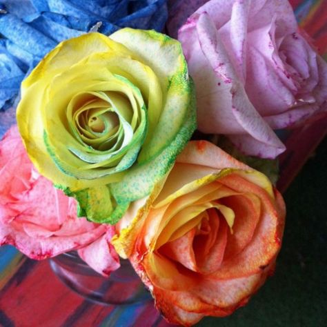 How to: Make Tie-Dye Dye Roses, Tulip Tie Dye, Roses Tutorial, Tie Dye Roses, Diy Mason Jar Crafts, Construction Paper Crafts, Tie Dye Kit, Christmas Crafts To Sell, Dye Techniques