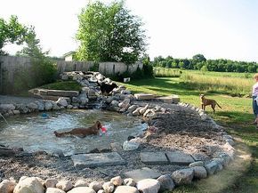 Built to be a pond for dogs. Great planning. Backyard Ideas For Dogs, Backyard Dyi, Diy Dog Run, Dog Backyard, Ideas For Dogs, Backyard Layout, Dog Yard, Dog Playground, Dog Pool