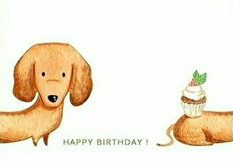 Dachshund Birthday, Happy Birthday Illustration, Happy Birthday Cards Diy, Happy Birthday Art, Birthday Card Drawing, Birthday Illustration, Dachshund Art, 강아지 그림, Happy Birthday Funny