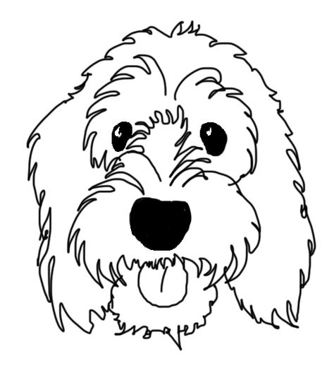 My name is Boris #dogs #cockapoo Labradoodle Art Drawings, Cavapoo Cartoon Drawing, Cockapoo Drawing Easy, Doodle Dogs Drawings, Goldendoodle Line Art, Labradoodle Drawing Easy, Cockapoo Line Drawing, Goldendoodle Drawing Easy, Labradoodle Line Drawing