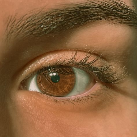 brown eyes, pools of honey #browneyes #eyes #eye #brown #darkacademia #harrypotter #books #honey Beautiful Brown Pictures, Bright Brown Eyes, Honey Brown Eyes Aesthetic, Brown Almond Eyes, Brown Eyes Guy, Chestnut Brown Eyes, Honey Colored Eyes, Dark Brown Eyes Aesthetic, Big Eyes Aesthetic