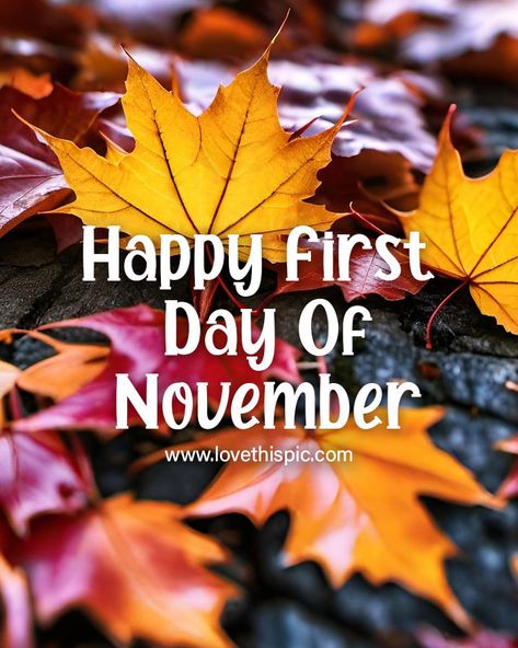 Happy First Day Of November, First Day Of November, November Pictures, Tumblr Image, Social Networking Sites, Facebook Image, Personal Website, Inspirational Pictures, Pictures Images