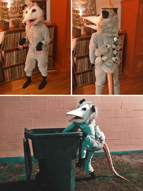 Animal Control Costume Halloween, Possum Costume Diy, Trash Panda Costume, Chupacabra Costume, Cryptid Halloween Costume, Masked Costume Ideas, Funny Two Person Halloween Costumes, Cool Costume Ideas For Women, Funny Costumes Halloween