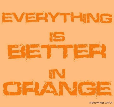 Orange makes everything better Orange Stuff, Orange Quotes, Orange Things, Orange Decor, Orange You Glad, Orange Aesthetic, Orange Is The New, Orange Crush, Orange Is The New Black