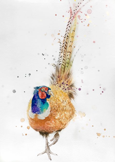 Pheasant Paintings Art, Pheasant Watercolor Paintings, Pheasant Pictures, Pheasant Watercolour, Pheasant Christmas, Watercolor Pheasant, Pheasant Drawing, Pheasant Illustration, Pheasant Painting