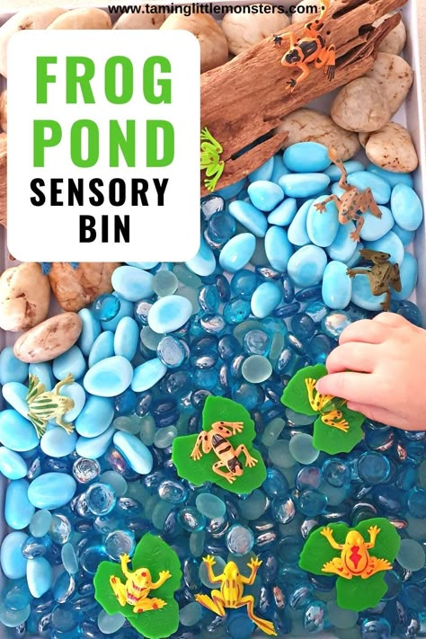 Spring Sensory Table Preschool, Sensory Bins Spring, Nature Sensory Table, Frog Pond Sensory Bin, The Lorax Sensory Bin, Spring Time Sensory Bin, Vet Sensory Bin, Sensory Bucket Ideas, Spring Themed Sensory Bin