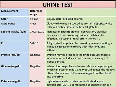 Urine Specific Gravity Nursing, Urinalysis Cheat Sheet, Urinalysis Interpretation, Neonatal Nursing, Nursing Labs, Medical Assistant Student, Nursing School Prerequisites, Nurse Study Notes, Nursing Student Tips