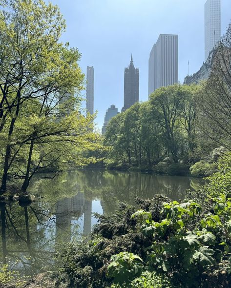 Promise I’ll get back to my regular art posts later this week, but for now, enjoy a few of my favorite snaps of Spring in New York 🤍 & Don’t forget ✨FREE shipping on EVERYTHING✨ with code “grateful” at checkout on ewardoriginals.com. Ends Sunday 5/5 - - - - #springtimeinnewyork #nycspring #newyorkornowhere #artistoninstagram #create #artist Emily Ward, Nyc Spring, Spring In New York, Get Back, I Promise, Spring Time, My Favorite, Coding, New York