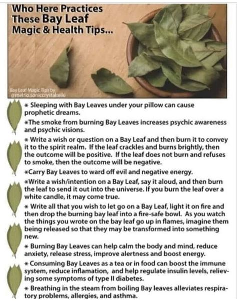 Burn Bay Leaves, Burning Bay Leaves, Smudging Prayer, Witchcraft Spells For Beginners, Witchcraft Magic, Magickal Herbs, Witch Herbs, Spells For Beginners, Magic Spell Book