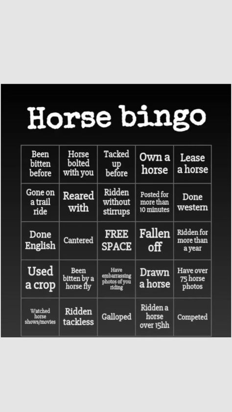 horse bingo Horse Bingo, Horse Galloping, Horse Fly, Horse Photos, Horse Tack, Bingo, Horses