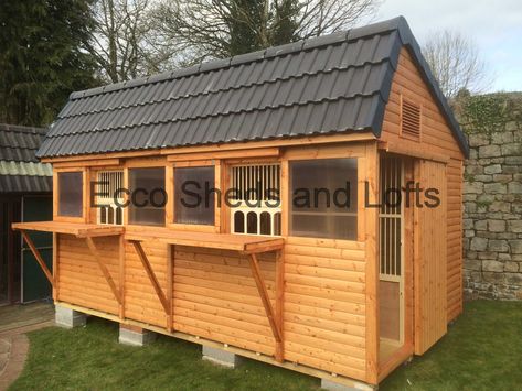 Tiled Lofts - Ecco Sheds and Pigeon Lofts Lofts Ideas, Pigeon Coop, Pigeon Design, Racing Pigeon Lofts, Pigeon Loft Design, Pigeon House, Loft Designs, Pigeon Loft, Outdoor Wood Projects