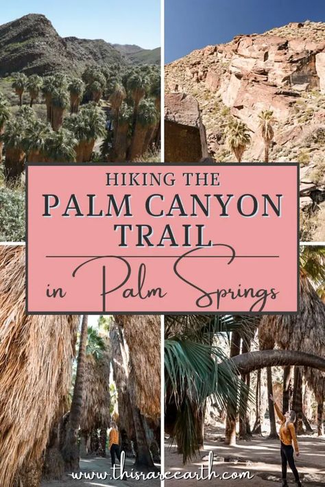 Hiking Palm Canyon Trail in Palm Springs - This Rare Earth Palm Springs Hiking Trails, Palm Springs Hikes, Palm Desert Outfits, 2023 Adventure, Palm Springs Hiking, Palm Springs Outfit, California Hiking, Palm Canyon, Rv Trips