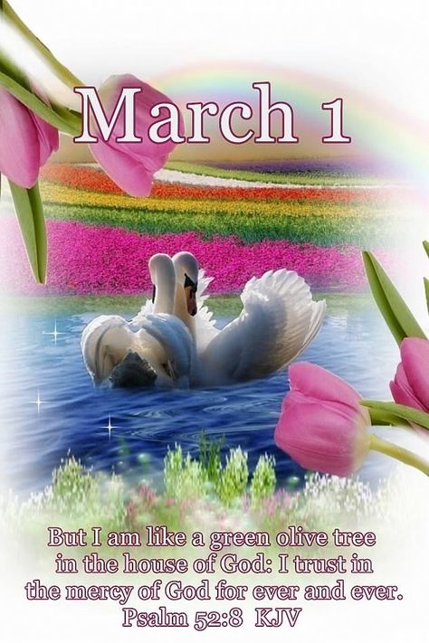 Month Of March Quotes, March Quotes, Love Good Morning Quotes, Monthly Quotes, Bible Verses Kjv, Happy March, Weekday Quotes, March Month, What Day Is It