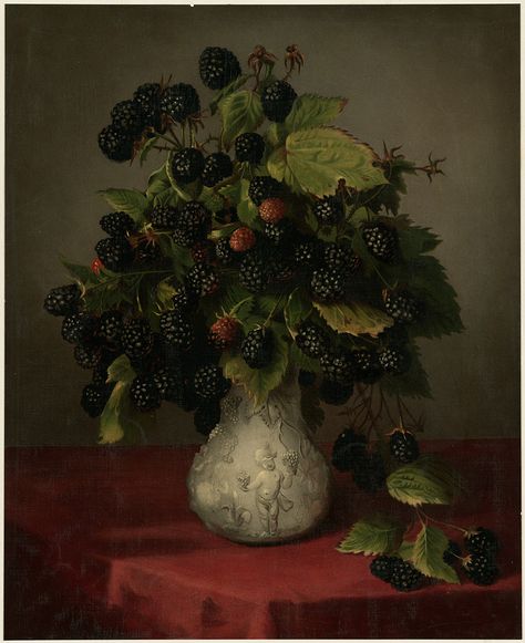 Blackberries in a Vase by Lily Martin Spencer. Chromolithograph issued by Louis Prang & Co (1861-1897). Dutch Still Life, Library Art, Still Life Fruit, Boston Public Library, Fruit Painting, Nature Paintings, Still Life Painting, Art Plastique, American Art