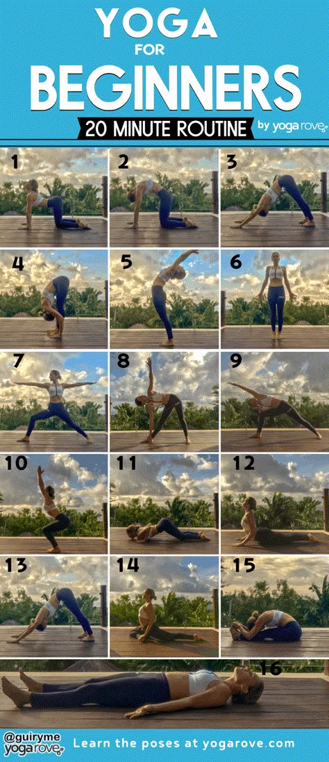 Learning Yoga, Essential Yoga Poses, Yoga Nature, Yoga Routine For Beginners, 20 Minute Yoga, Poses For Beginners, Poses Yoga, Yoga Beginners, Beginner Yoga