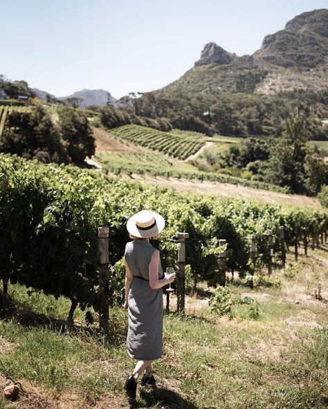 Taste Your Way Through South Africa at These 10 Wineries | Babylonstoren | Franschhoek | Cape Winelands | Winelands | Wineries | Winemaking | Wines To Try #babylonstoren #capewinelands #franschhoek #wineries #winetasting #winepairing #paarl #stellenbosch #winestotry #southafrica Winery Aesthetics, Winery Photography, Japan Beach, Japan Tourist, Wine Tourism, Travel Japan, Wine Travel, Unique Venues, Aesthetic Photos