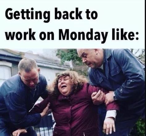 Good Morning Monday Funny Meme, Funny Monday Work Humor, Week Off Work Quotes Funny, Monday Humor Back To Work, Tomorrow Is Monday Humor, Back To Work Humor, Back To Work Humour, Monday Positivity, Funny Monday Memes