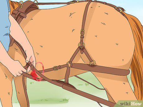 How to Harness a Horse: 15 Steps (with Pictures) - wikiHow Mane Braids, Horse Mane Braids, Equine Veterinary, Horse Behavior, Horse Lessons, Carriage Driving, Horse Harness, Horse Info, Horse Mane