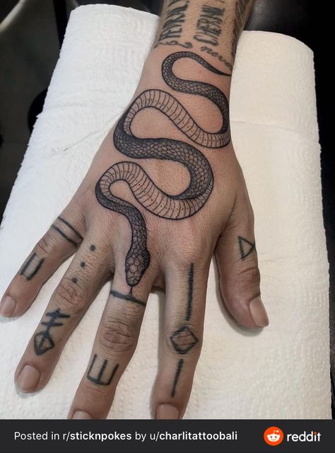 Tattoo Main, Animal Tattoos For Women, Bali Tattoo, Cute Cat Tattoo, Serpent Tattoo, Charlie Rose, Snake Tattoo Design, Canggu Bali, Hand Poked Tattoo