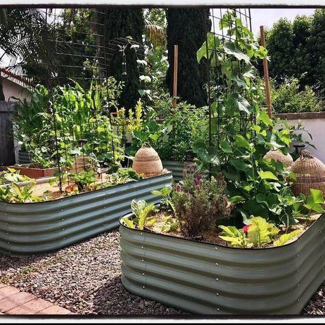 Modular Raised Garden Beds, Metal Garden Beds, Raised Garden Bed Kits, Raised Planter Beds, Metal Raised Garden Beds, Planter Beds, Raised Planter, Types Of Vegetables, Garden Equipment