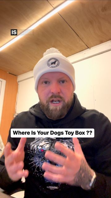 Southend Dog Training on Instagram: "Where Is Your Dogs Toy Box ?? #dogsofinstagram #dogtraining #southenddogtraining" Dog Toy Box, Dog Ideas, Dog Activities, January 13, Training Day, Cute Wild Animals, Pet Training, Toy Box, Puppy Training