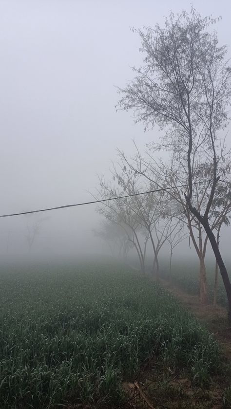 #Village #FoggyDay #Punjab #Winter #GreenFields #Morning Village Winter Morning, Winter Foggy Morning Snap, Village Vibes Snap, Village Morning Snap, Village Morning Photography, Fog Snapchat Story, Winter Morning Snap, Morning Winter Aesthetic, Winter Village Aesthetic